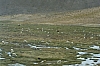 arequipa - colca canyon_00009.JPG