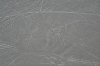 nasca_00010.JPG