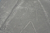 nasca_00011.JPG