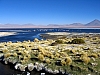 salar de uyuni_00042.JPG