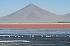 salar de uyuni_00050.JPG