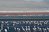 salar de uyuni_00054.JPG