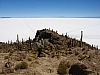 salar de uyuni_00124.JPG