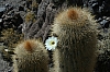 salar de uyuni_00128.JPG