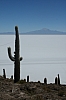 salar de uyuni_00137.JPG