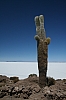 salar de uyuni_00138.JPG