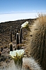 salar de uyuni_00145.JPG