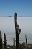 salar de uyuni_00150.JPG