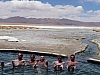 salar de uyuni_00178.JPG