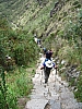 cusco - inca trail & machu pichu_00044.JPG